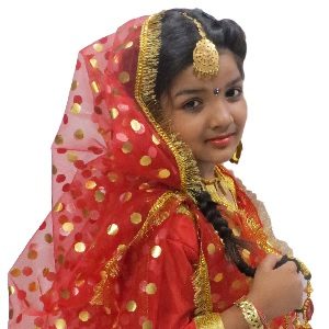 Punjabi Gidda Dress